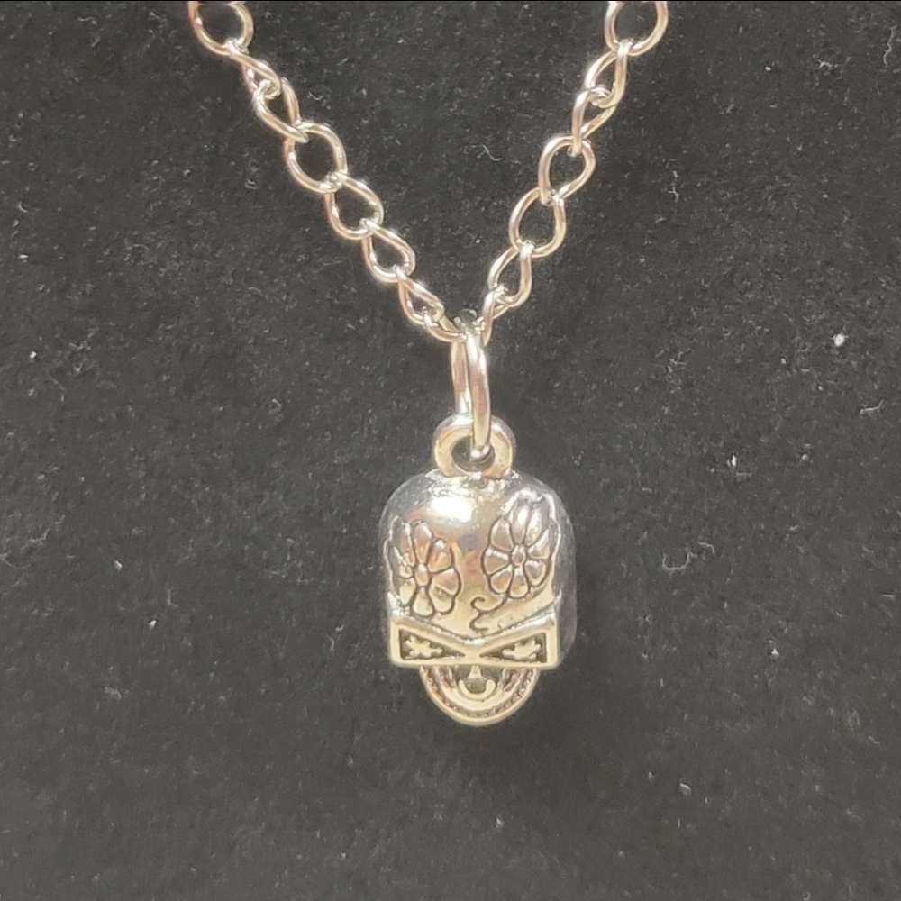 Silver Chain and Silver Skull Charm Necklace